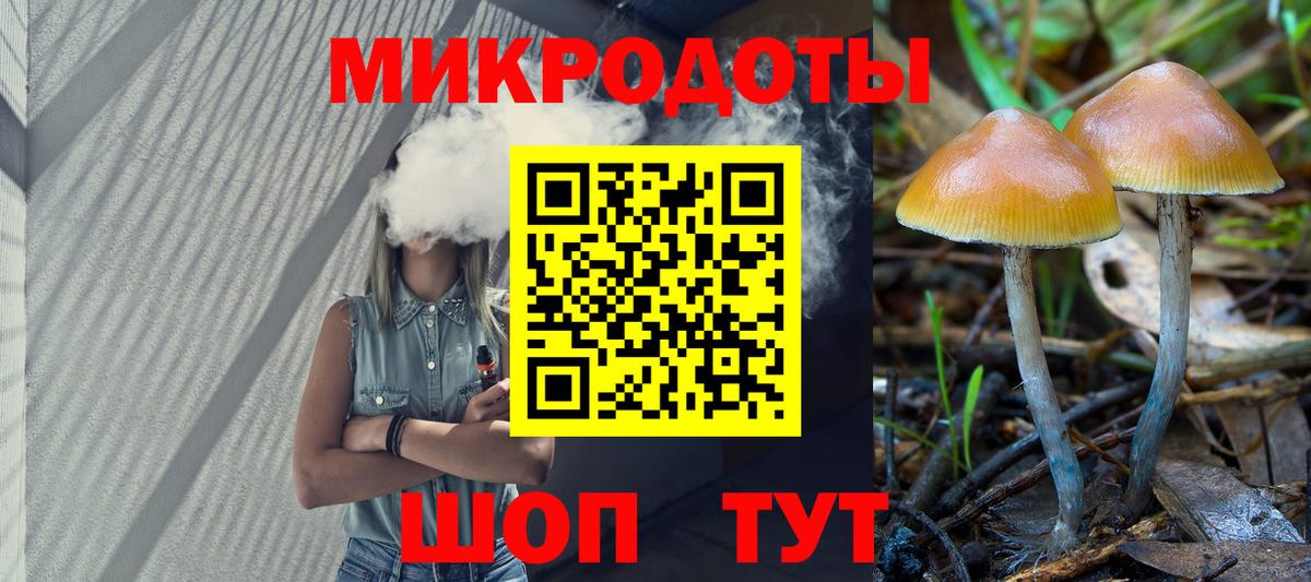 Галлюциногенные грибы Psilocybe Янаул