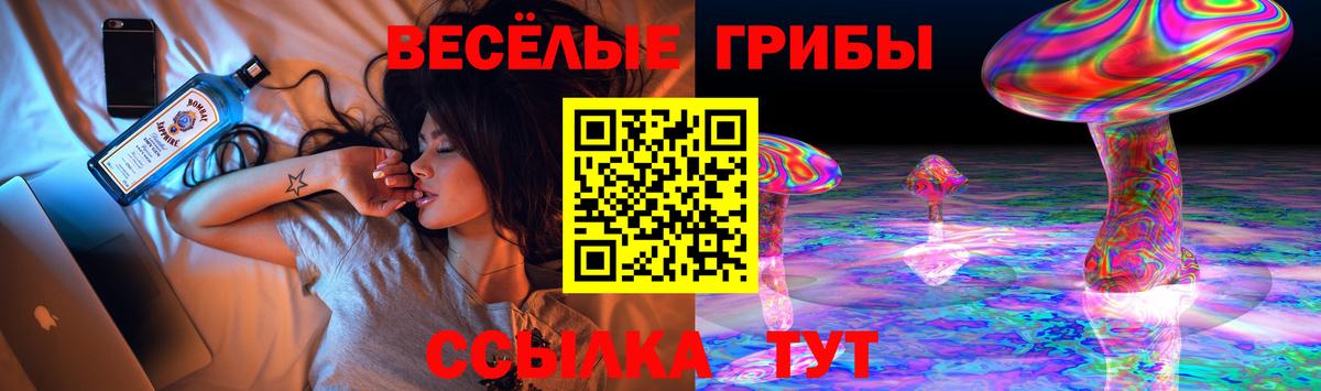 Псилоцибиновые грибы Psilocybine cubensis  Галлюциногенные грибы Psilocybe  Янаул  продажа наркотиков  Вход с VPN 